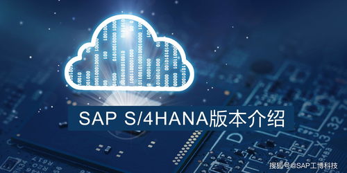 sap s 4hana不同版本,企业该怎么选择
